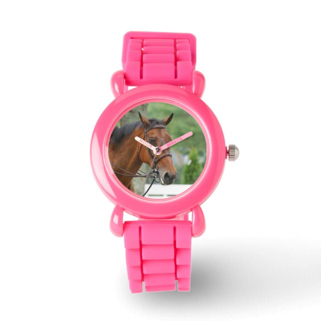 Bay Arab Horse Watch (Front)
