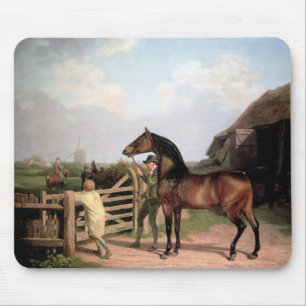 Bay Ascham ~ a stallion lead through a gate Mouse Pad
