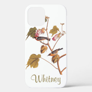 Bay Breasted Warbler Audubon Bird on Cotton Plant  iPhone 12 Case