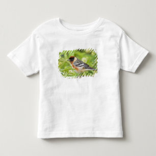 Bay-breasted Warbler (Dendroica castanea) adult Toddler T-Shirt