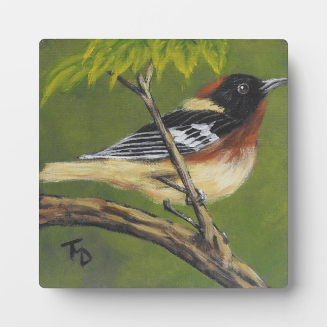Bay-Breasted Warbler - Tabletop Plaque with Easel (Front)