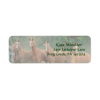 Bay Chestnut Brown Horses in Field with Trees Return Address Label