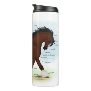 Bay Clydesdale Horse Anatomical Chart Educational Thermal Tumbler