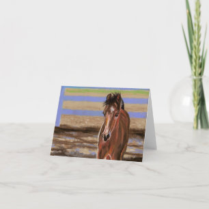 Bay Filly Card