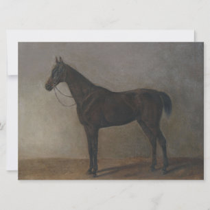 Bay Gelding Horse (by Albrecht Adam) Card