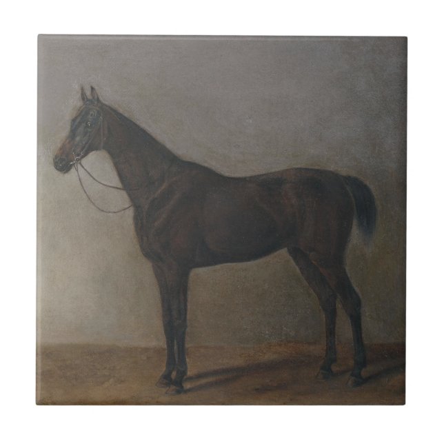 Bay Gelding Horse (by Albrecht Adam) Ceramic Tile (Front)