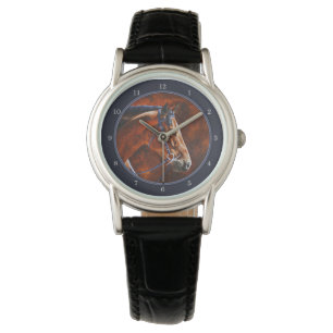 Bay Hanoverian Horse Slate Grey Watch
