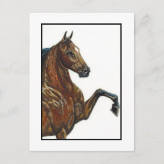 Bay Harness Pony 3 Postcard
