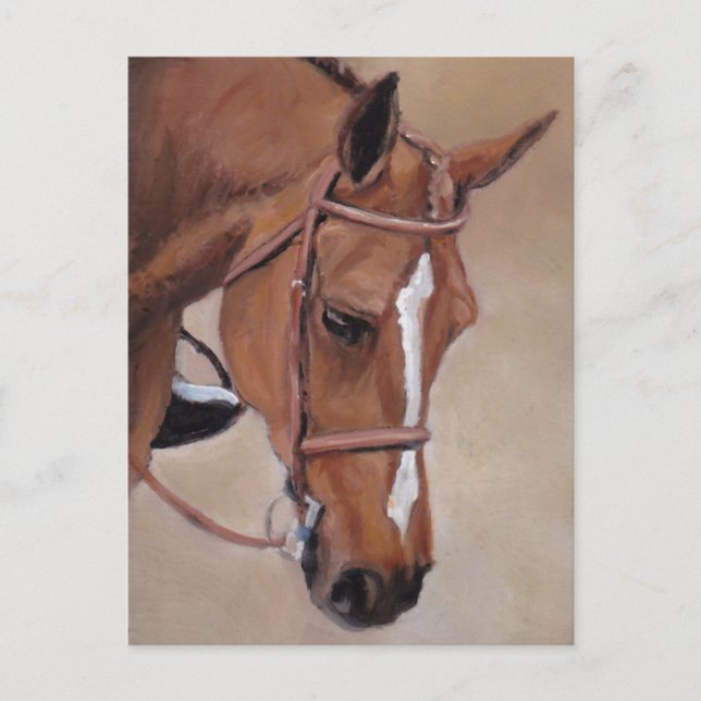 Bay Horse Animal Art Postcard (Front)