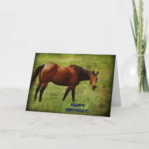Bay Horse, Birthday Card