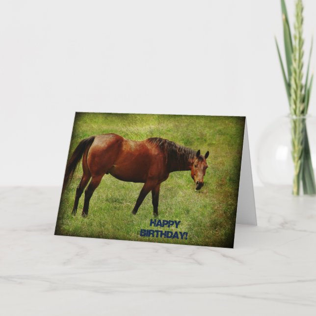 Bay Horse, Birthday Card (Front)