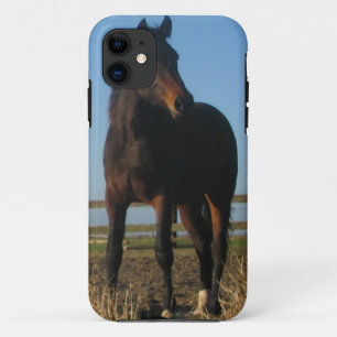 Bay Horse iPhone 11 Case