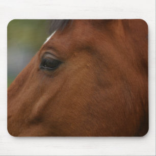 Bay Horse Closeup Mouse Pad