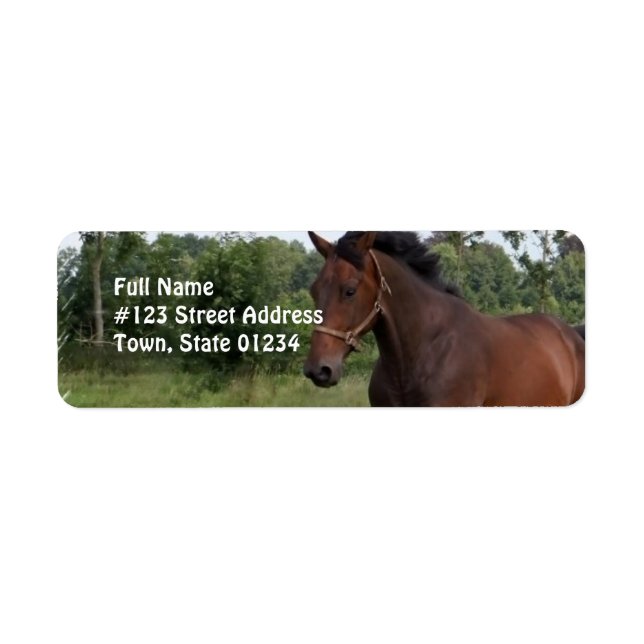 Bay Horse Design Return Address Label (Front)