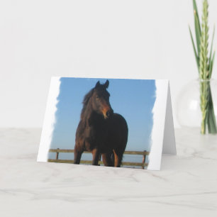 Bay Horse Greeting Card