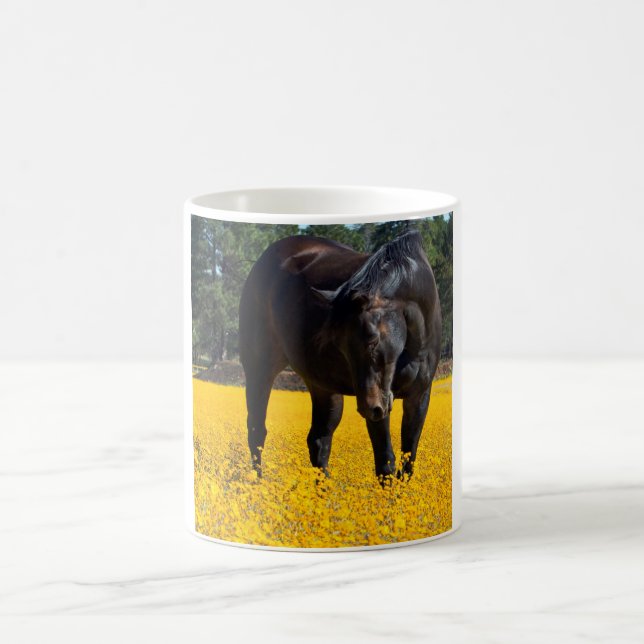 Bay Horse in a Field of Yellow Flowers Coffee Mug (Center)