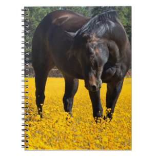 Bay Horse in a Field of Yellow Flowers Notebook