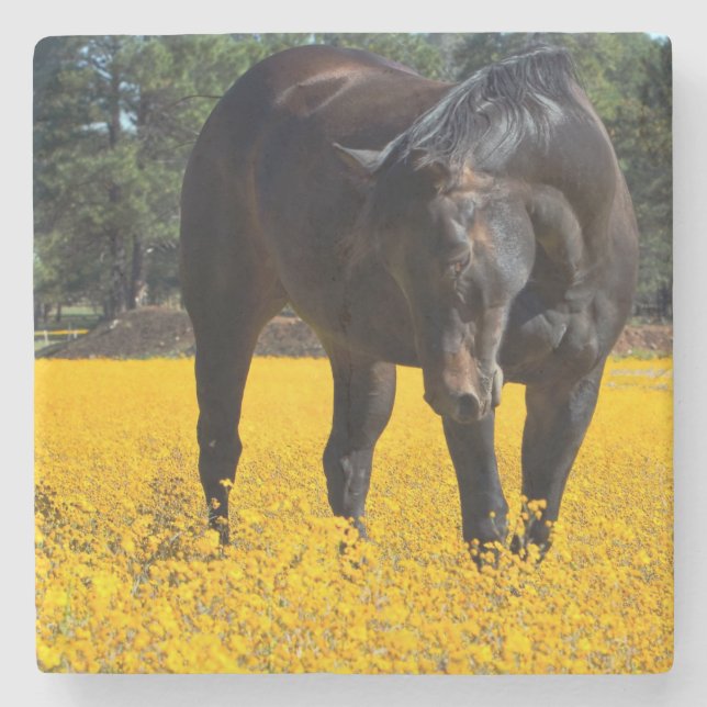 Bay Horse in a Field of Yellow Flowers Stone Coaster (Front)