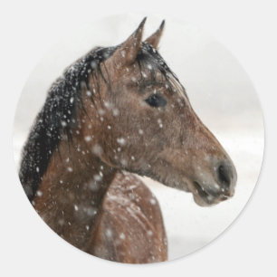 Bay Horse in Gently Falling Snow Classic Round Sticker
