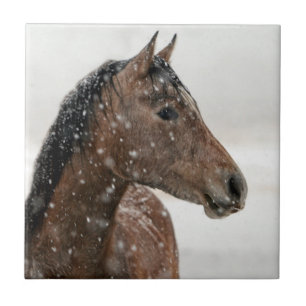 Bay Horse in Gently Falling Snow Tile