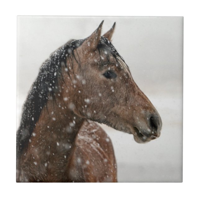 Bay Horse in Gently Falling Snow Tile (Front)