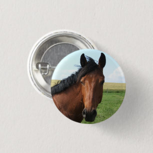 Bay Horse in Pasture 3 Cm Round Badge