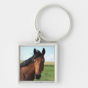 Bay Horse in Pasture Key Ring