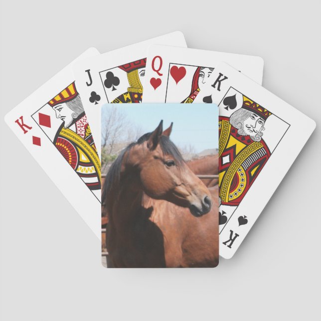 Bay Horse Playing Cards (Back)