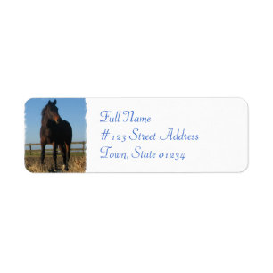 Bay Horse Return Address Label