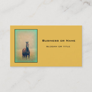 Bay Horse Standing in a Field Business Card