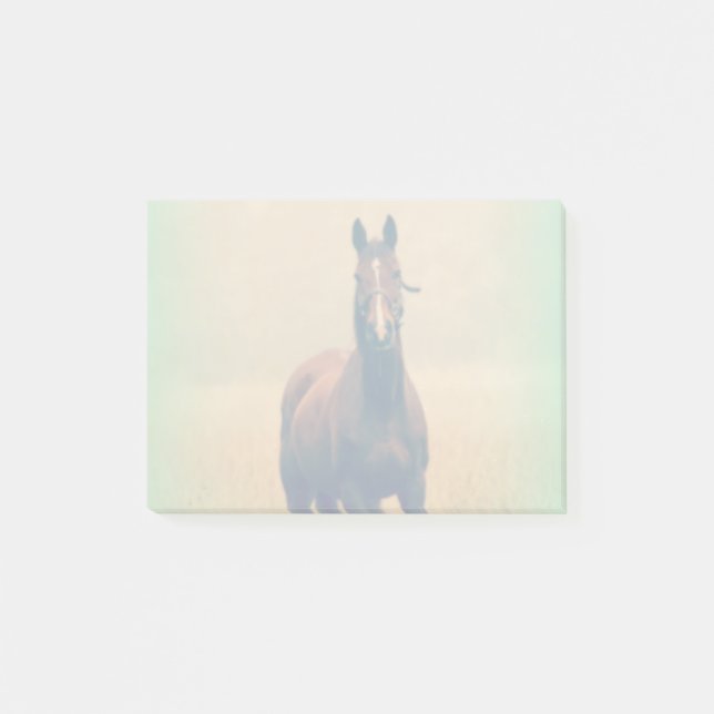 Bay Horse Standing in a Field Post-it Notes (Front)