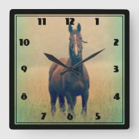 Bay Horse Standing in a Field