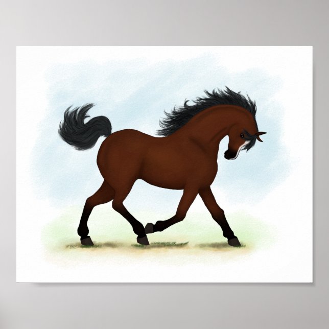 Bay Horse With Blaze Equestrian Poster (Front)