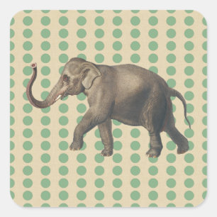 Bay Leaf Spice Moods Dots with Elephant Square Sticker