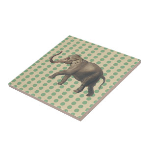 Bay Leaf Spice Moods Dots with Elephant Tile