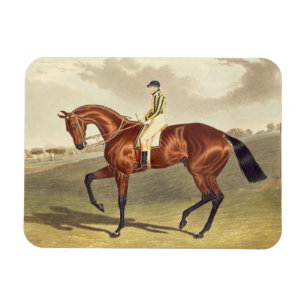 Bay Middleton, winner of the Derby in 1836, after Magnet