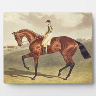 Bay Middleton, winner of the Derby in 1836, after Plaque