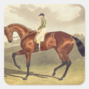 Bay Middleton, winner of the Derby in 1836, after Square Sticker