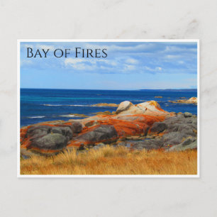 bay of fires grass rocks postcard