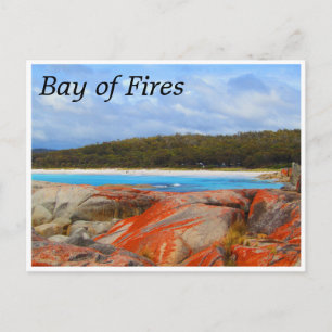 bay of fires lichen rocks postcard