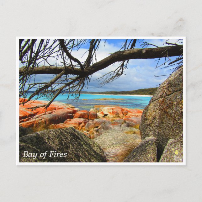 bay of fires view postcard (Front)