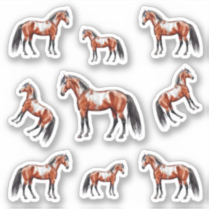 Bay Paint Overo Horse Realistic Art -