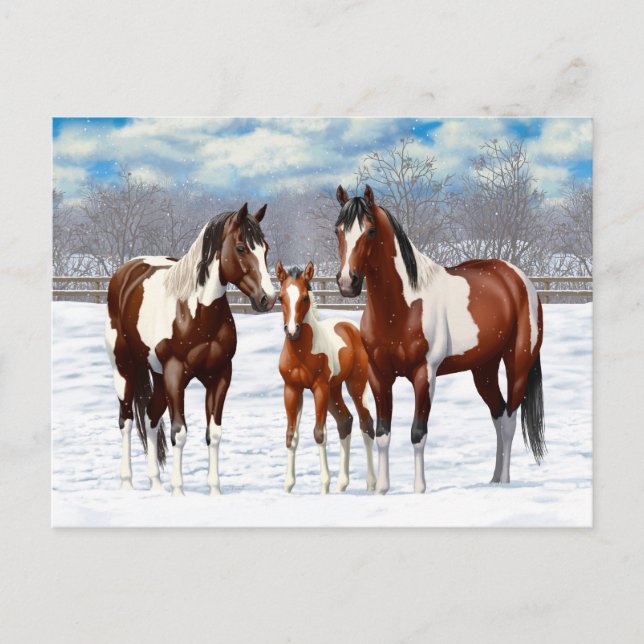 Bay Pinto Paint Horses In Winter Snow Postcard (Front)
