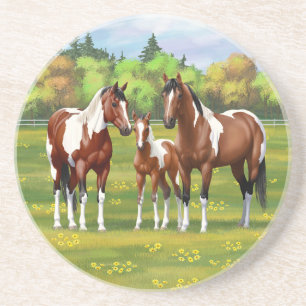 Bay Pinto Paint Quarter Horses In Summer Pasture Coaster