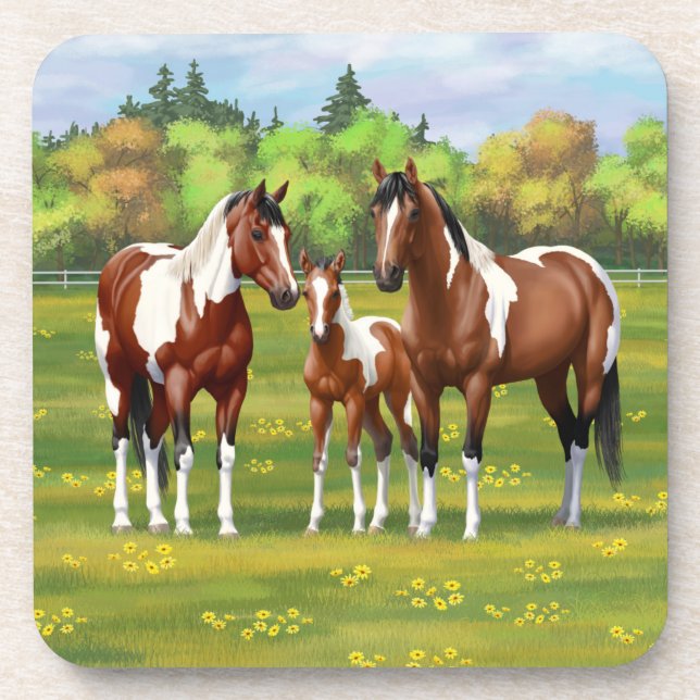Bay Pinto Paint Quarter Horses In Summer Pasture Coaster (Front)