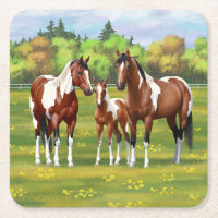Bay Pinto Paint Quarter Horses In Summer Pasture