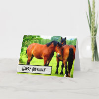 Bay Polish Bred Draft Horses Happy Birthday
