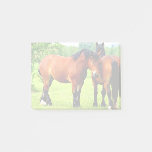 Bay Polish Bred Draught Horses In Lush Green Meado Post-it Notes (Front)