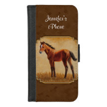 Bay Quarter Horse Foal Brown