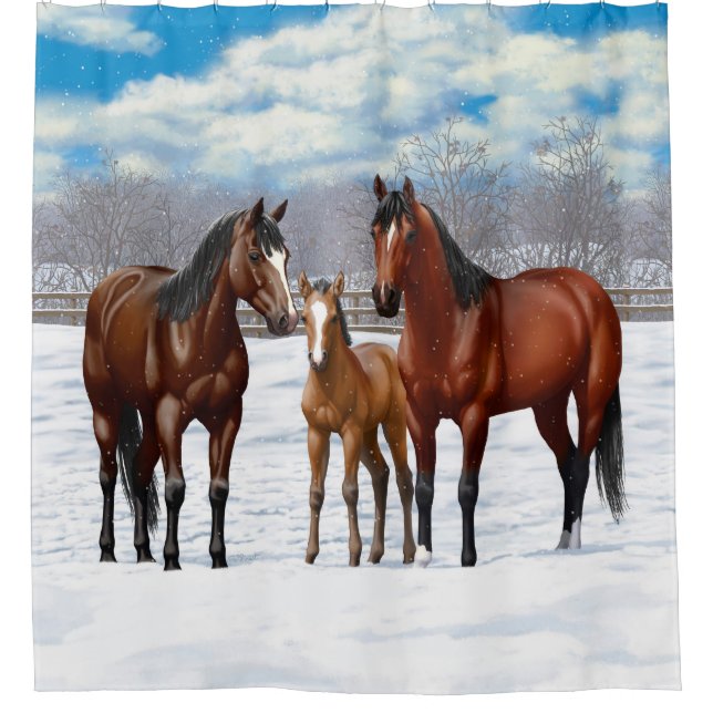 Bay Quarter Horses In Snow Shower Curtain (Front)